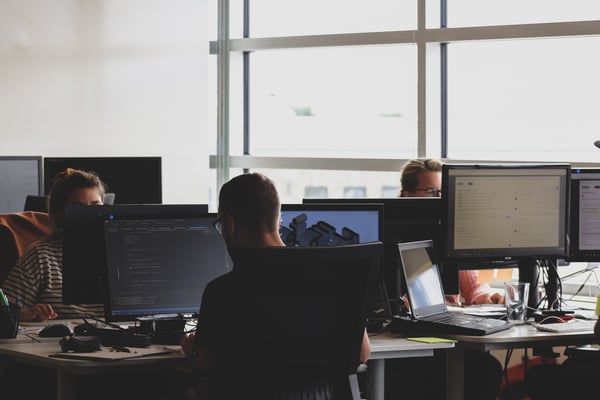 developers working in an office