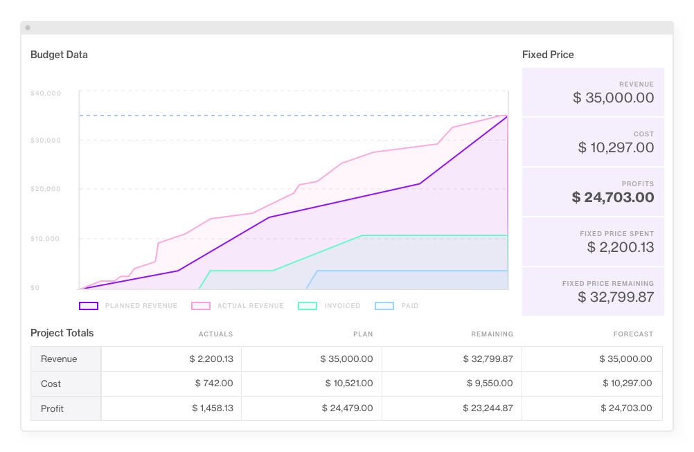 Budget Xero